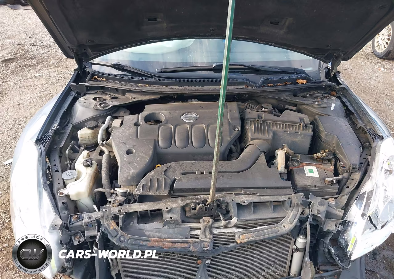 2010 Nissan Altima 2.5 S VIN:1N4AL2AP1AN416443 - 10