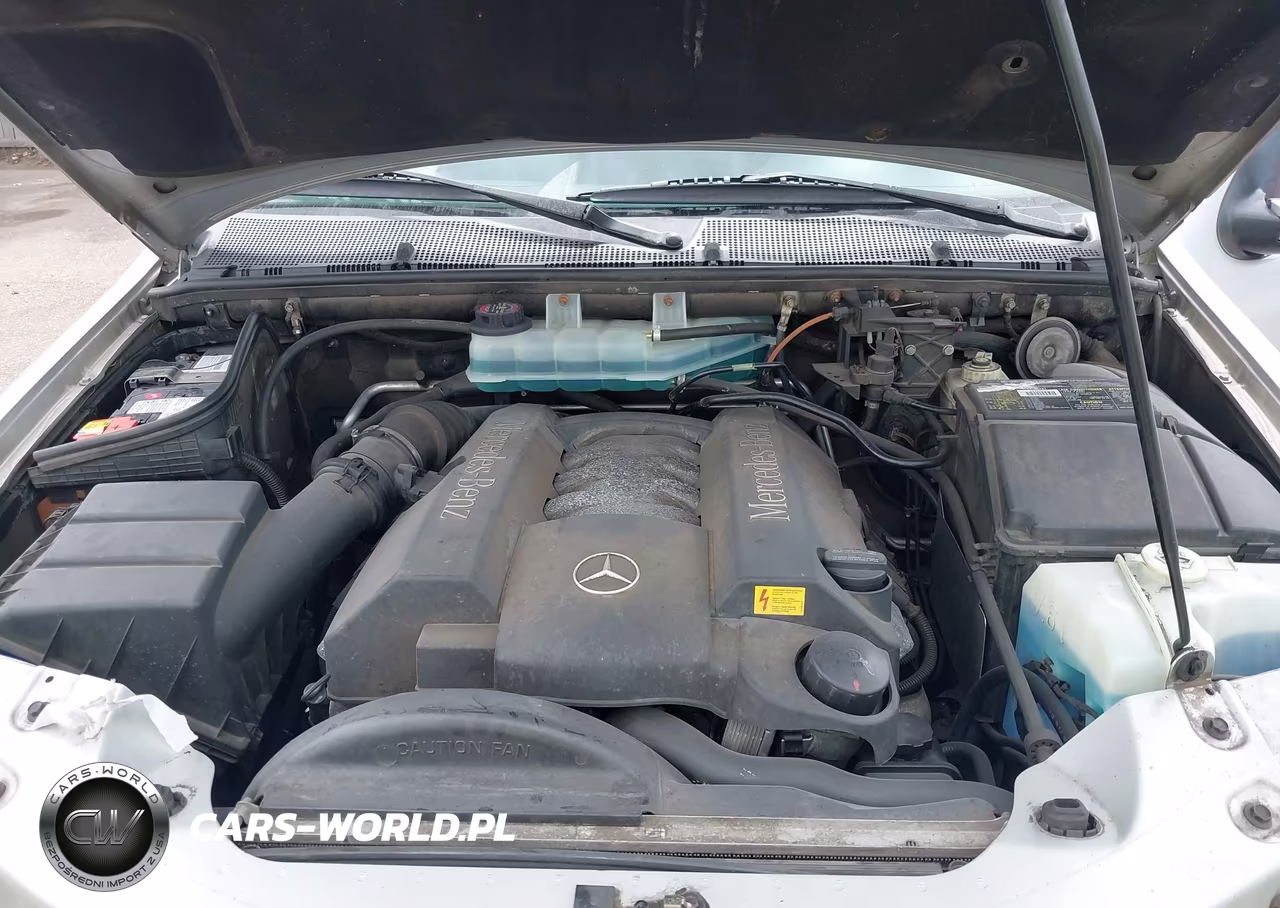 1999 Mercedes-Benz Ml 430 VIN:4JGAB72E8XA104817 - 10