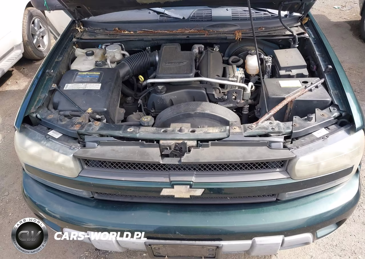 2004 Chevrolet Trailblazer Ext Lt VIN:1GNET16S146188176 - 10