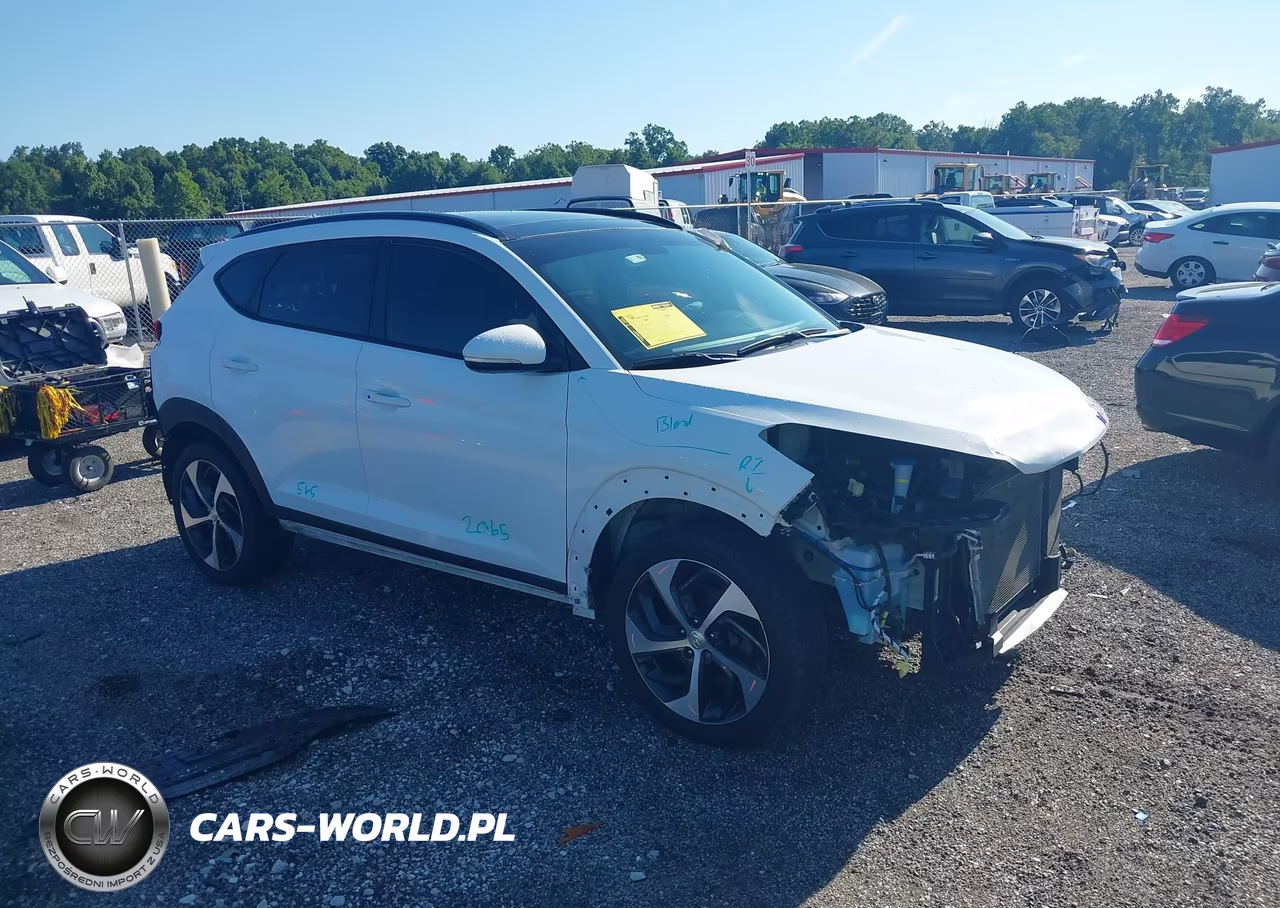 2018 Hyundai Tucson Value VIN:KM8J33A24JU705810 - 13