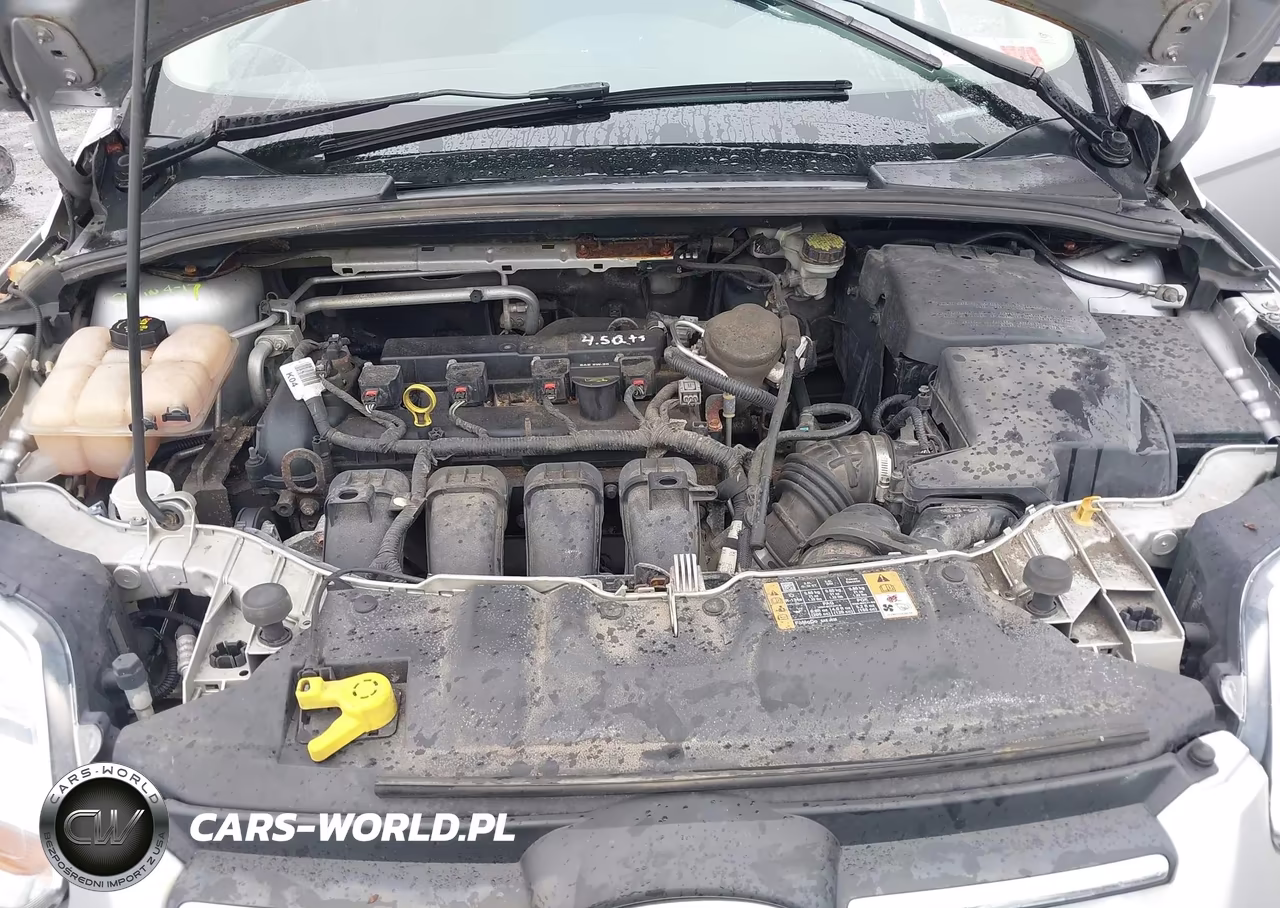 2014 Ford Focus Se VIN:1FADP3K25EL366481 - 10