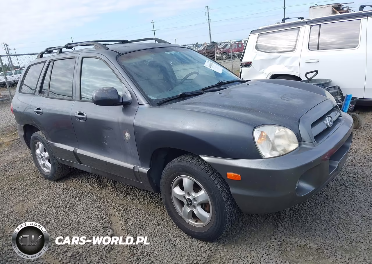 2005 Hyundai Santa Fe Gls-Lx