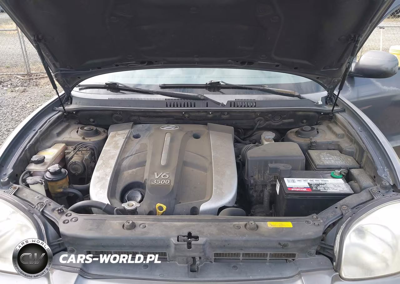 2005 Hyundai Santa Fe Gls-Lx VIN:KM8SC13E05U965157 - 10