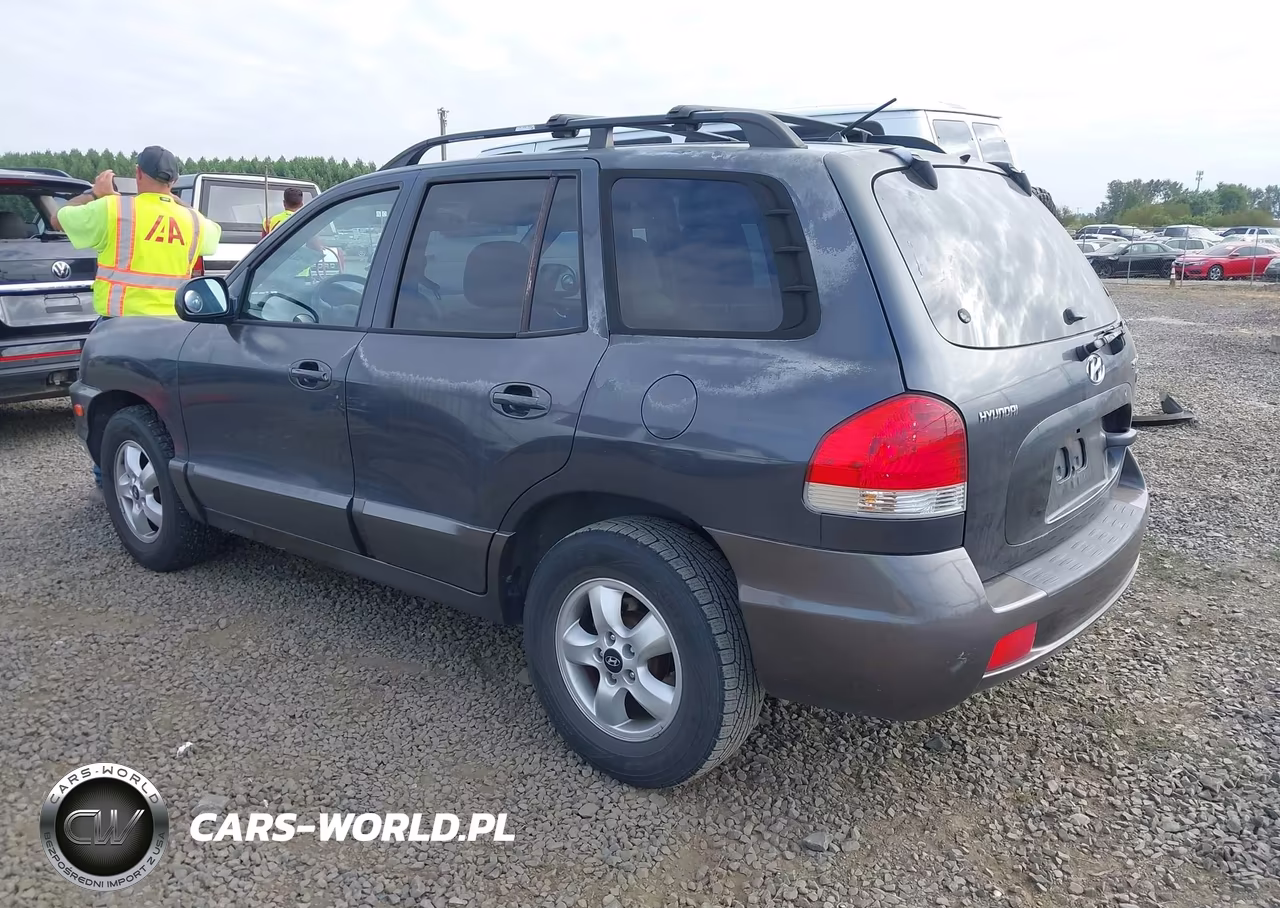 2005 Hyundai Santa Fe Gls-Lx VIN:KM8SC13E05U965157 - 3