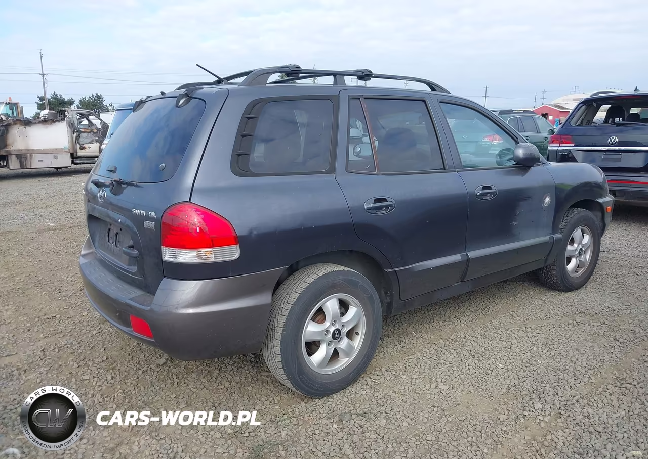 2005 Hyundai Santa Fe Gls-Lx VIN:KM8SC13E05U965157 - 4