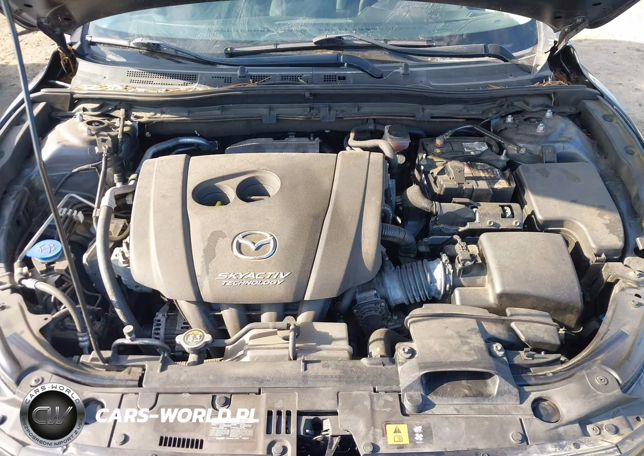 2016 Mazda Mazda3 I Sport VIN:JM1BM1J72G1328183 - 10