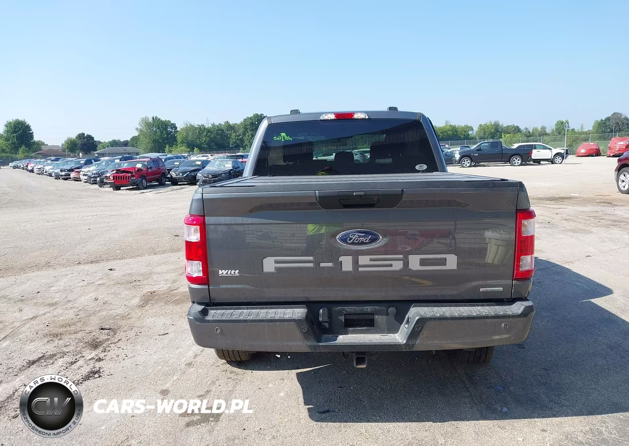 2023 Ford F-150 Xl VIN:1FTEW1EP4PFC56195 - 16