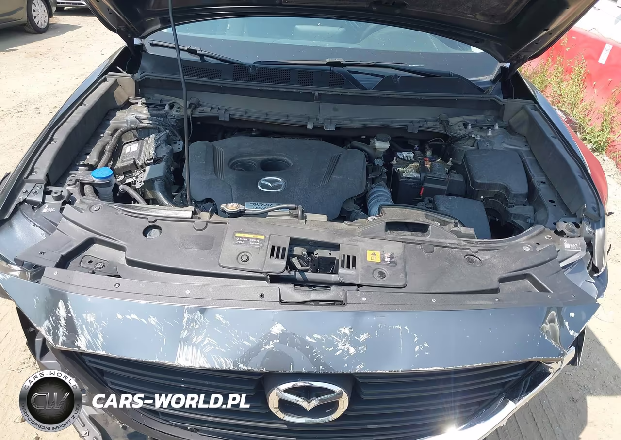 2016 Mazda Cx-9 Sport VIN:JM3TCBBY6G0111558 - 10