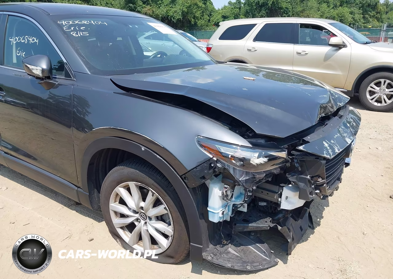 2016 Mazda Cx-9 Sport VIN:JM3TCBBY6G0111558 - 13