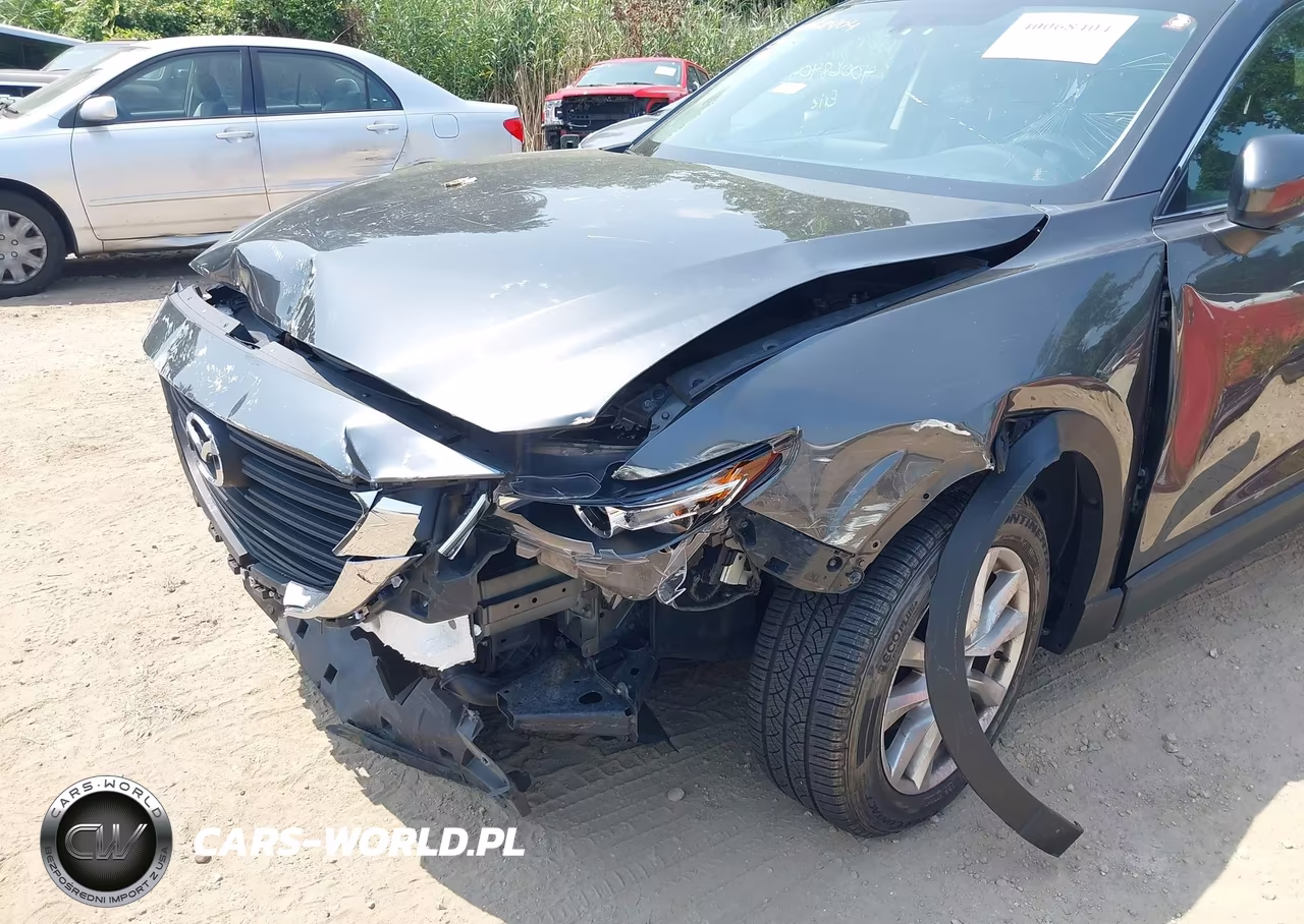 2016 Mazda Cx-9 Sport VIN:JM3TCBBY6G0111558 - 6