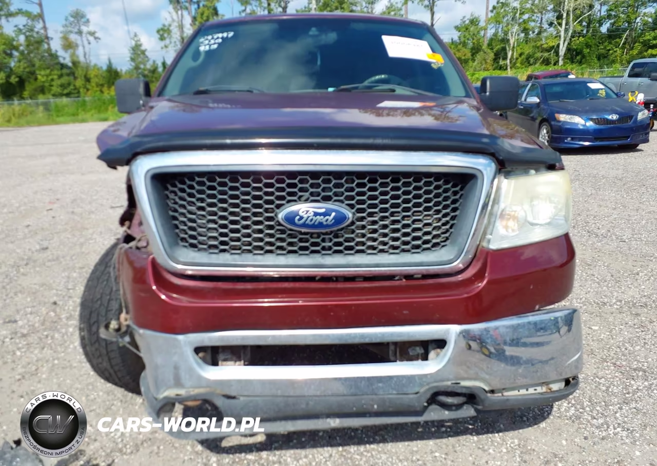 2006 Ford F-150 Fx4-Lariat-Xl-Xlt VIN:1FTPX14V76NB59843 - 12