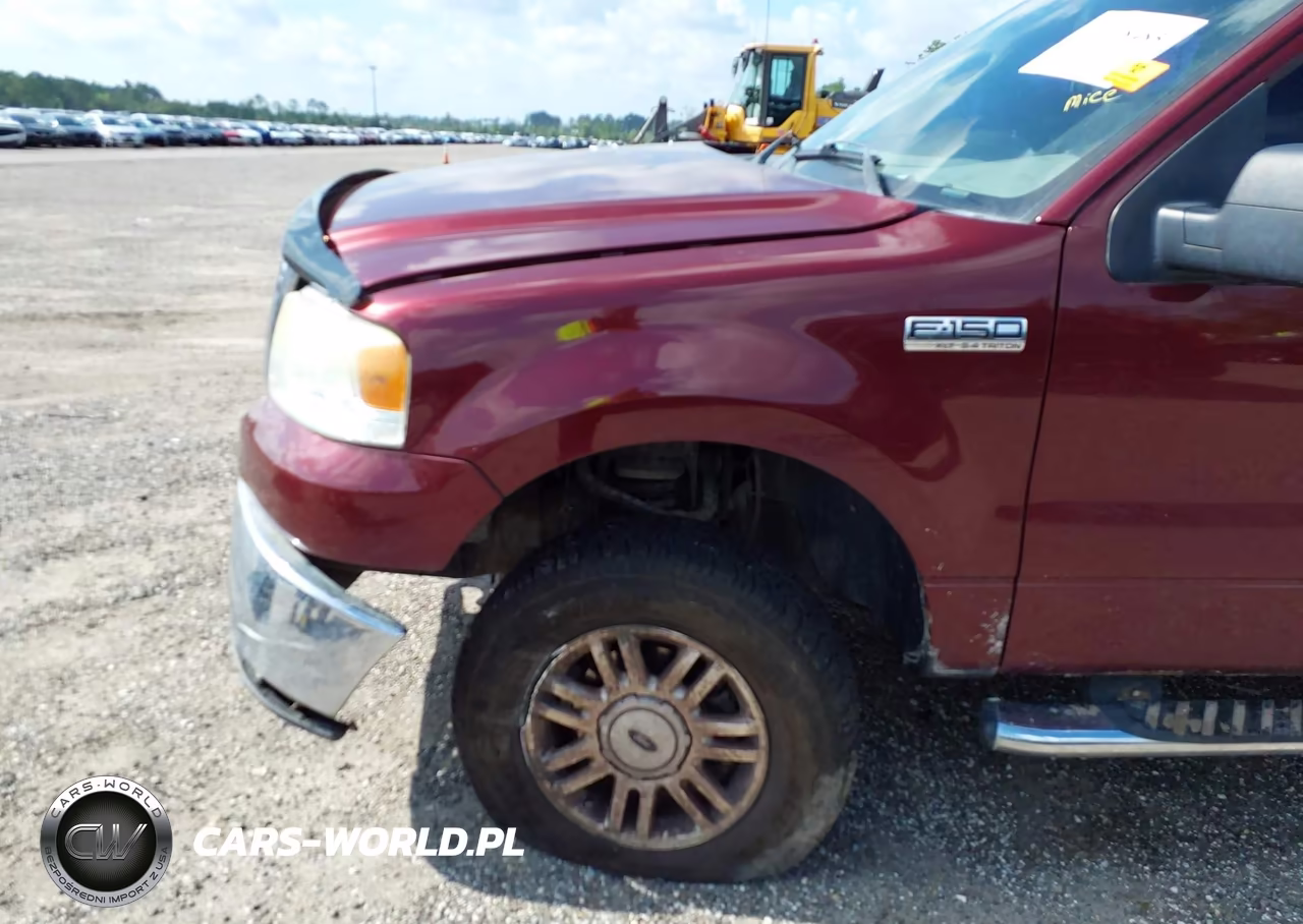 2006 Ford F-150 Fx4-Lariat-Xl-Xlt VIN:1FTPX14V76NB59843 - 13