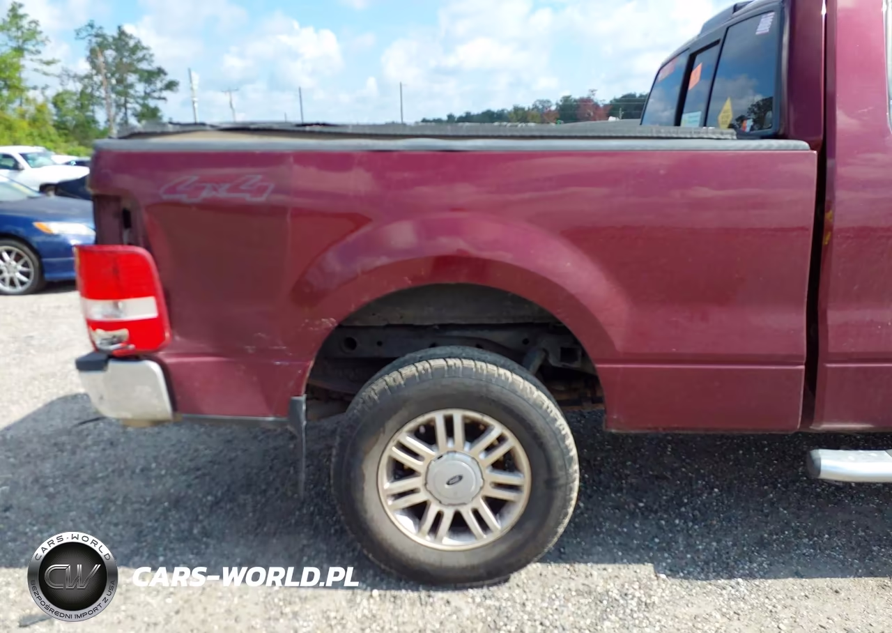 2006 Ford F-150 Fx4-Lariat-Xl-Xlt VIN:1FTPX14V76NB59843 - 16