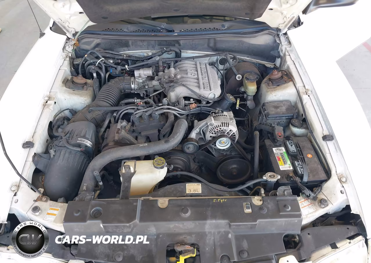 1998 Ford Mustang VIN:1FAFP4042WF156827 - 10