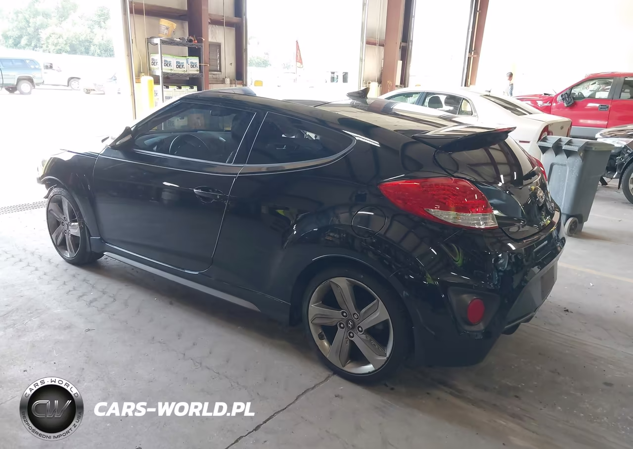 2014 Hyundai Veloster Turbo W-Black VIN:KMHTC6AEXEU207363 - 3