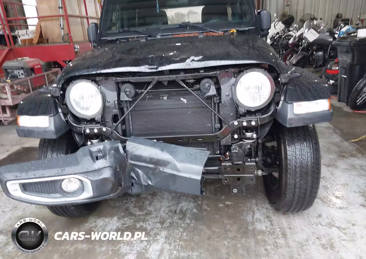 2019 Jeep Wrangler Unlimited Sahara 4X4 VIN:1C4HJXEG5KW528406 - 6