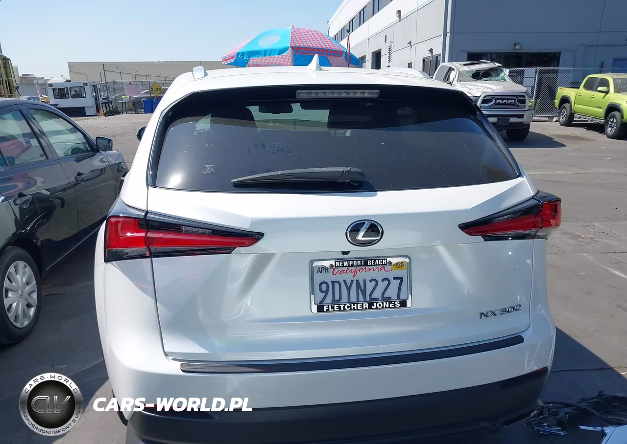2018 Lexus Nx 300-Base-F Sport VIN:JTJYARBZ0J2110212 - 17