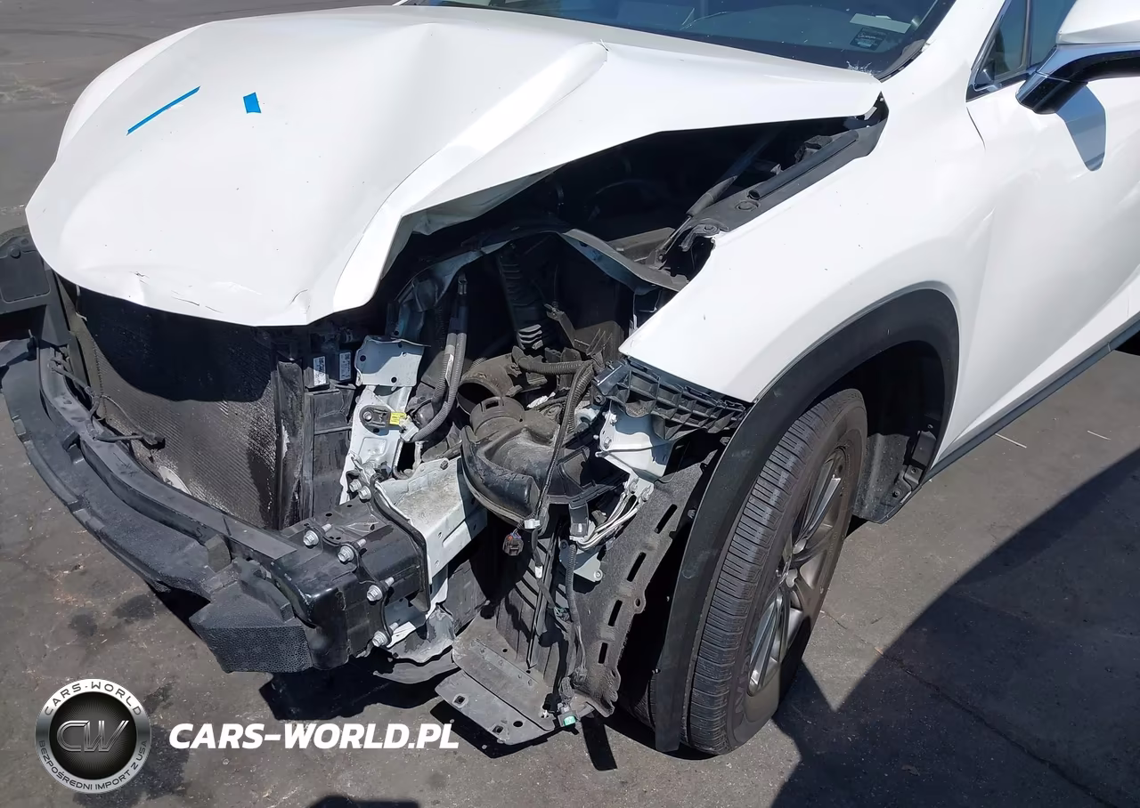 2018 Lexus Nx 300-Base-F Sport VIN:JTJYARBZ0J2110212 - 18