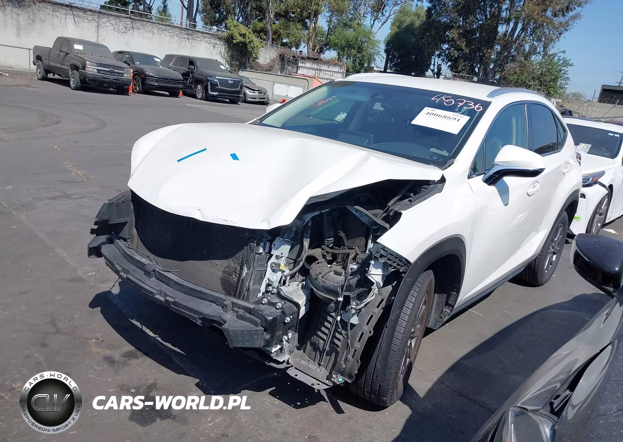 2018 Lexus Nx 300-Base-F Sport VIN:JTJYARBZ0J2110212 - 2