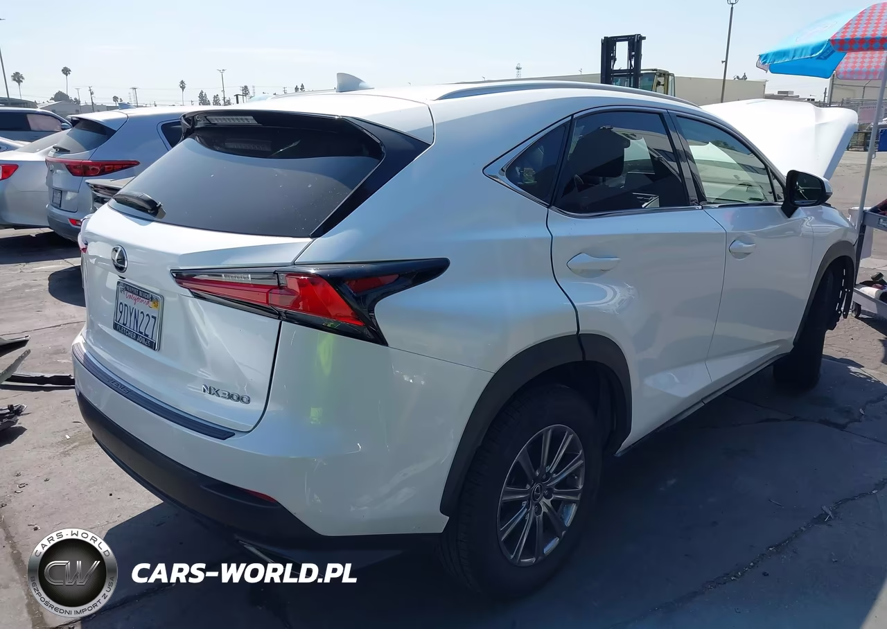2018 Lexus Nx 300-Base-F Sport VIN:JTJYARBZ0J2110212 - 4
