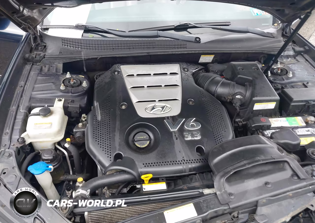 2006 Hyundai Sonata Gls V6-Lx V6 VIN:5NPEU46F06H022458 - 10