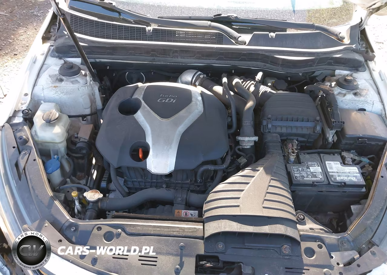 KIA OPTIMA VIN:5XXGR4A65EG263055 - 10