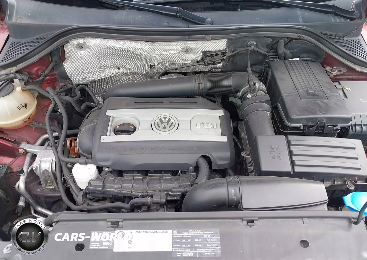 2011 Volkswagen Tiguan S VIN:WVGBV7AX1BW000454 - 10