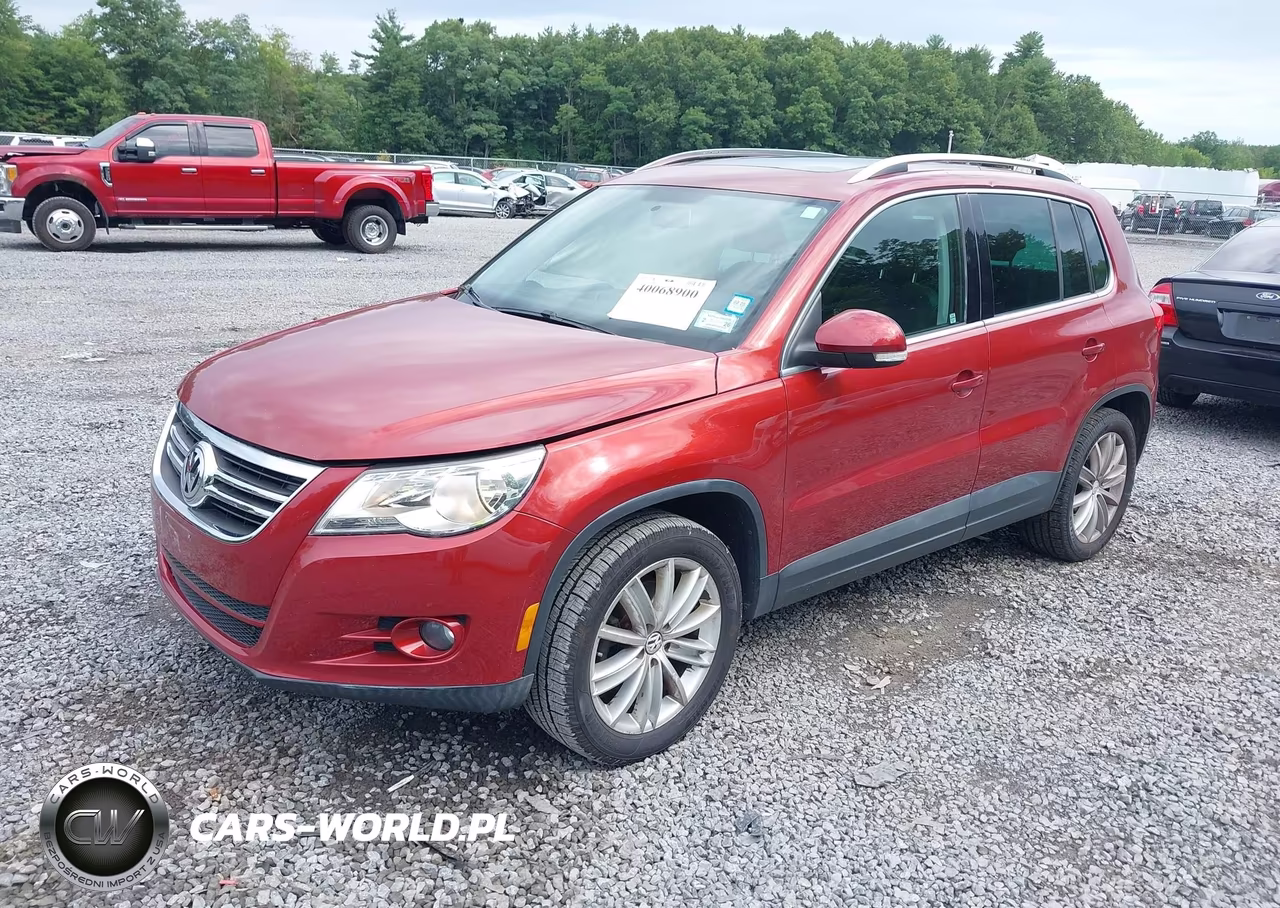 2011 Volkswagen Tiguan S VIN:WVGBV7AX1BW000454 - 2