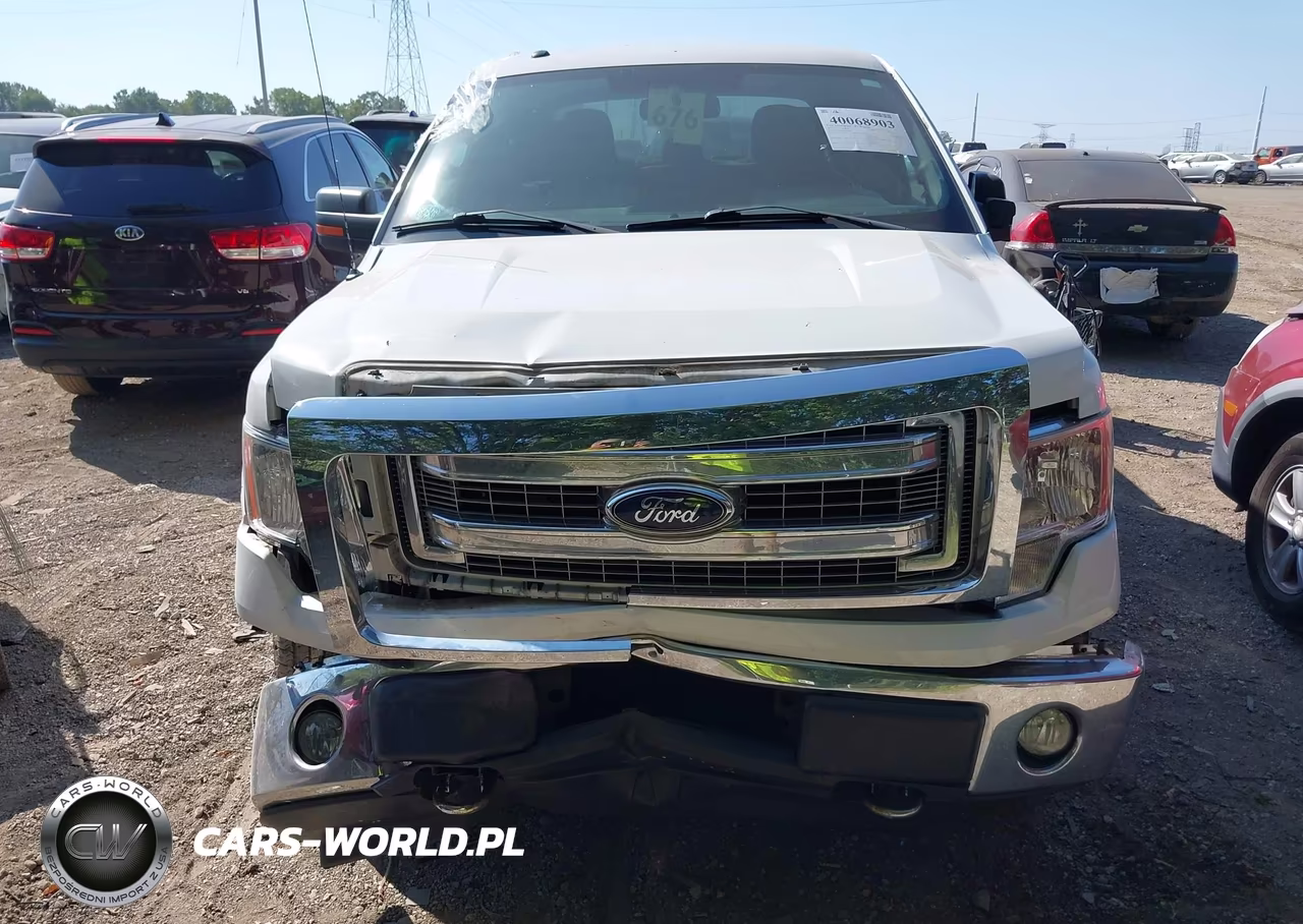 2013 Ford F-150 Xlt VIN:1FTFW1EF6DFD02276 - 12