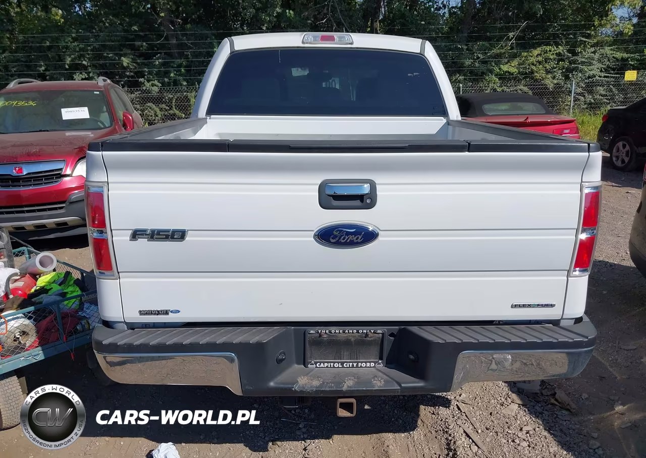 2013 Ford F-150 Xlt VIN:1FTFW1EF6DFD02276 - 16