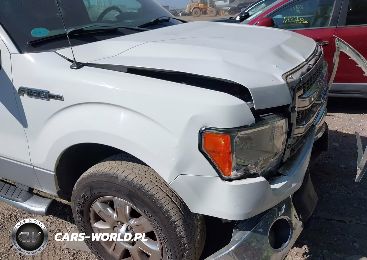 2013 Ford F-150 Xlt VIN:1FTFW1EF6DFD02276 - 17