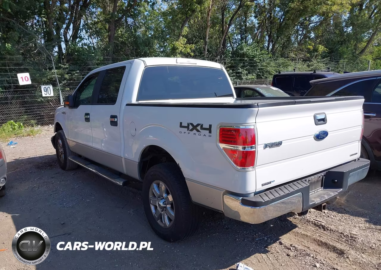 2013 Ford F-150 Xlt VIN:1FTFW1EF6DFD02276 - 3