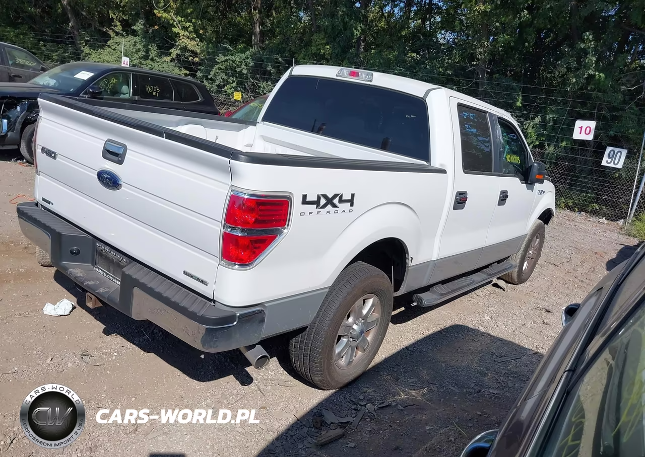 2013 Ford F-150 Xlt VIN:1FTFW1EF6DFD02276 - 4