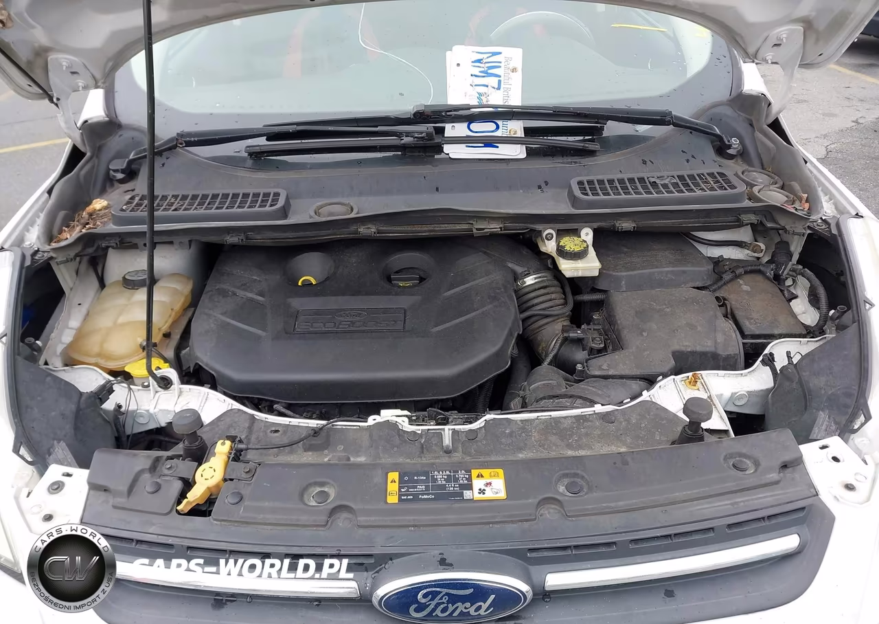 2014 Honda Accord Ex-L VIN:1HGCR2F81EA111283 - 10
