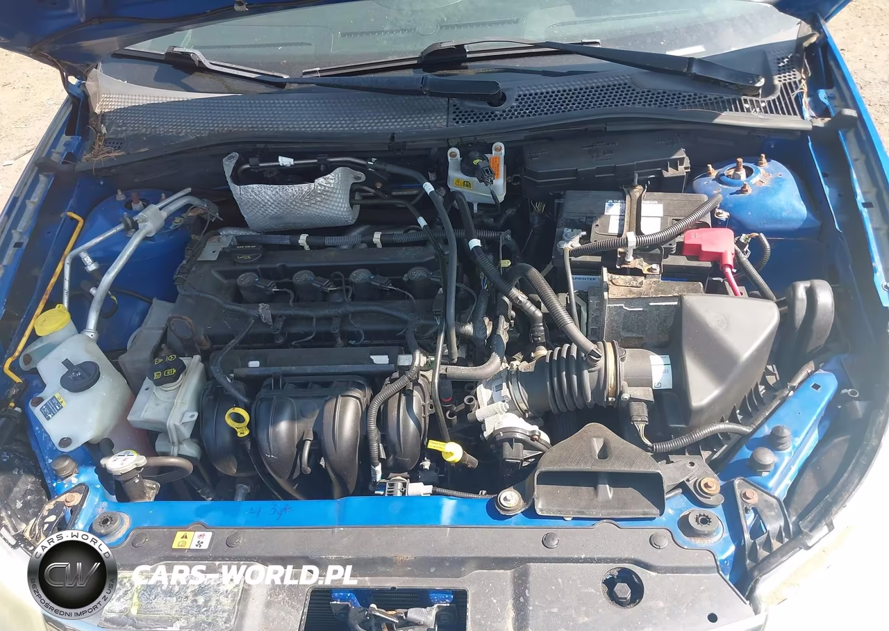 2011 Ford Focus Se VIN:1FAHP3FN9BW182158 - 10