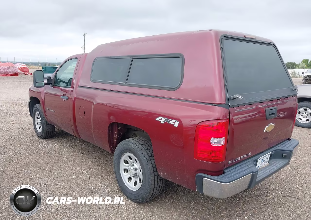 2009 Chevrolet Silverado K1500 VIN:1GCEK14XX9Z256927 - 3