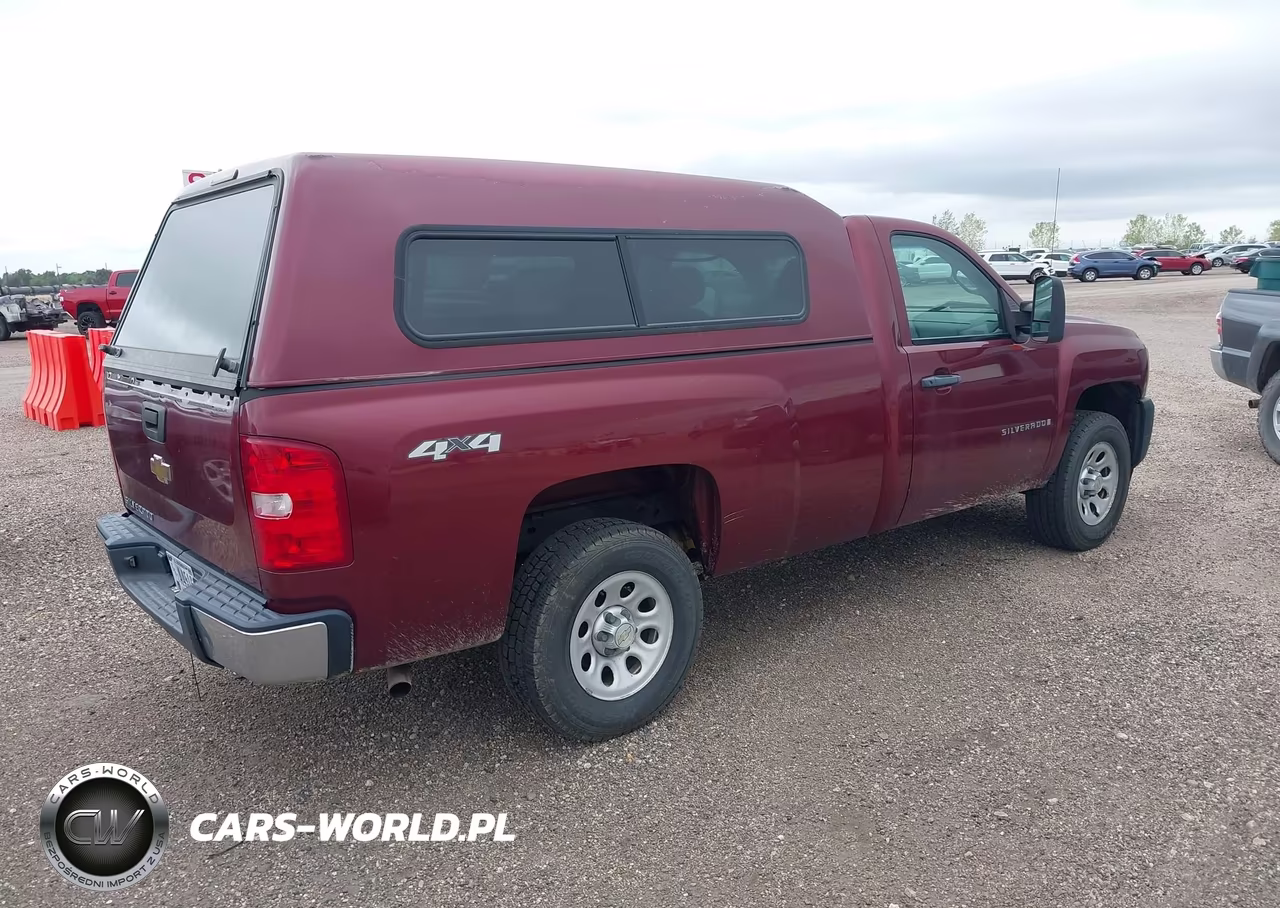 2009 Chevrolet Silverado K1500 VIN:1GCEK14XX9Z256927 - 4