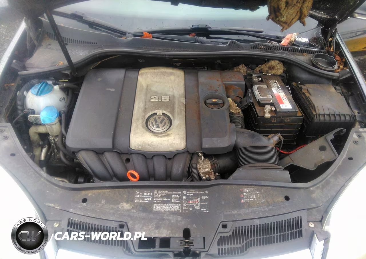 2006 Volkswagen Jetta 2.5 VIN:3VWDG81K56M784772 - 10
