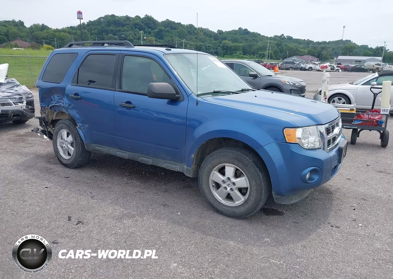 2010 Ford Escape Xlt