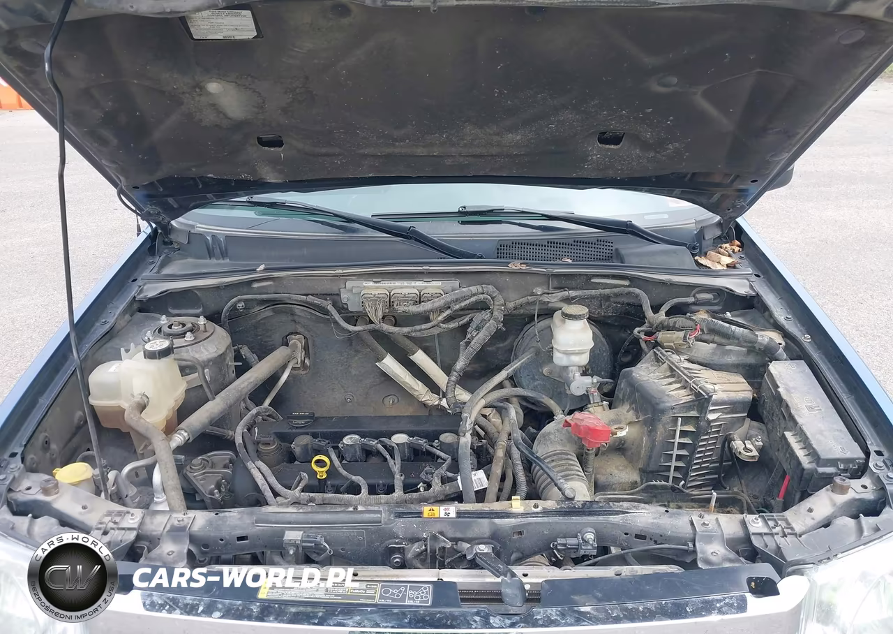 2010 Ford Escape Xlt VIN:1FMCU0D70AKA34174 - 10