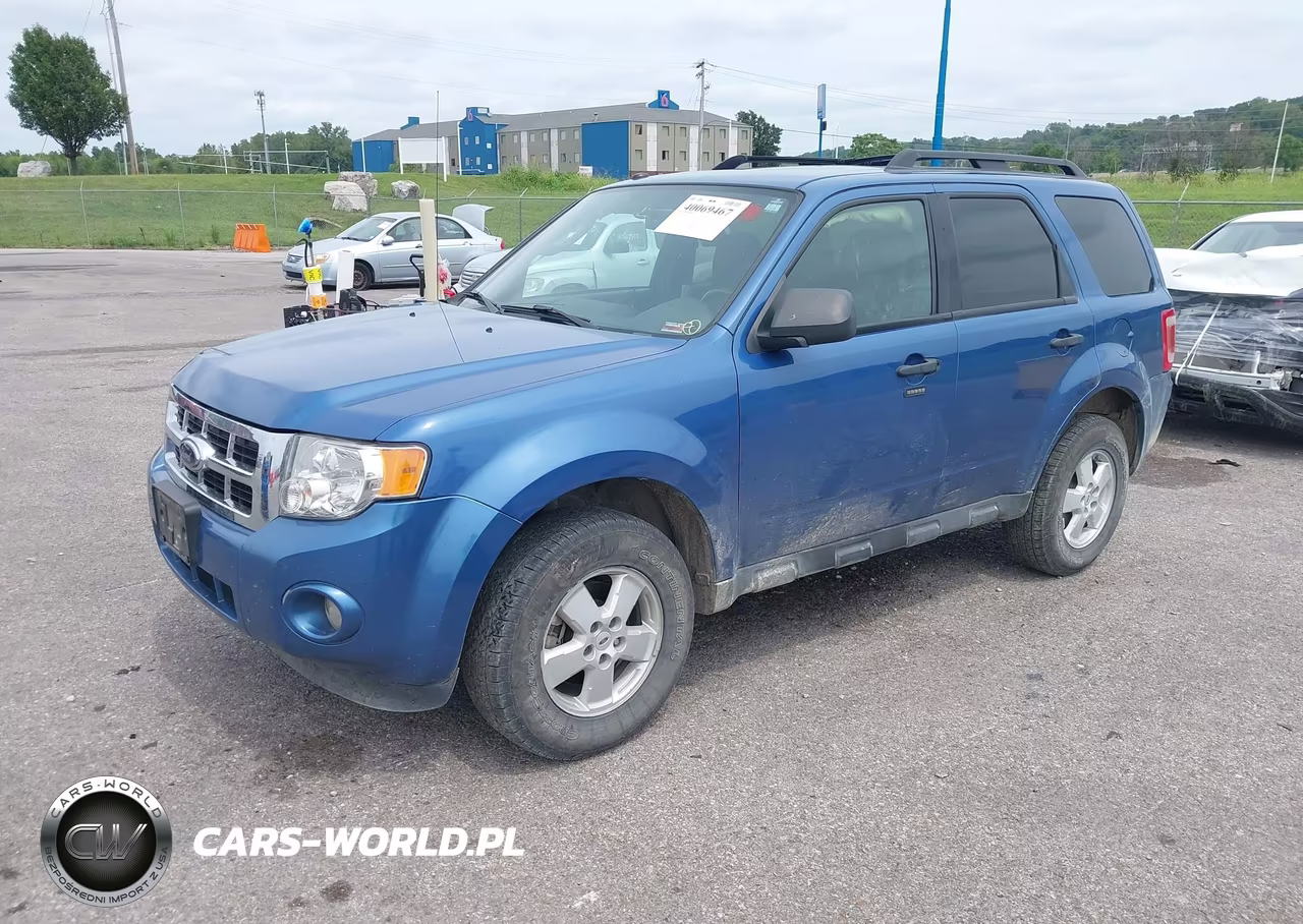 2010 Ford Escape Xlt VIN:1FMCU0D70AKA34174 - 2