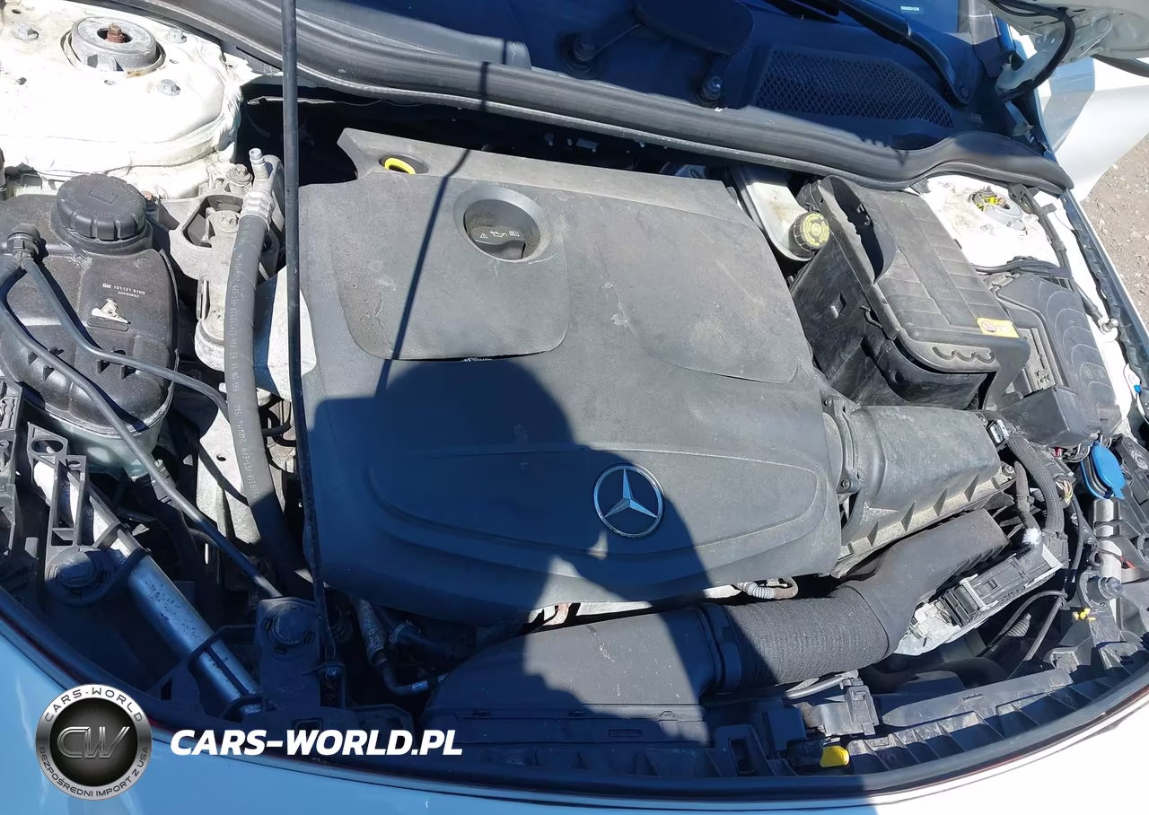2014 Mercedes-Benz Cla 250 4Matic VIN:WDDSJ4GB2EN125280 - 10