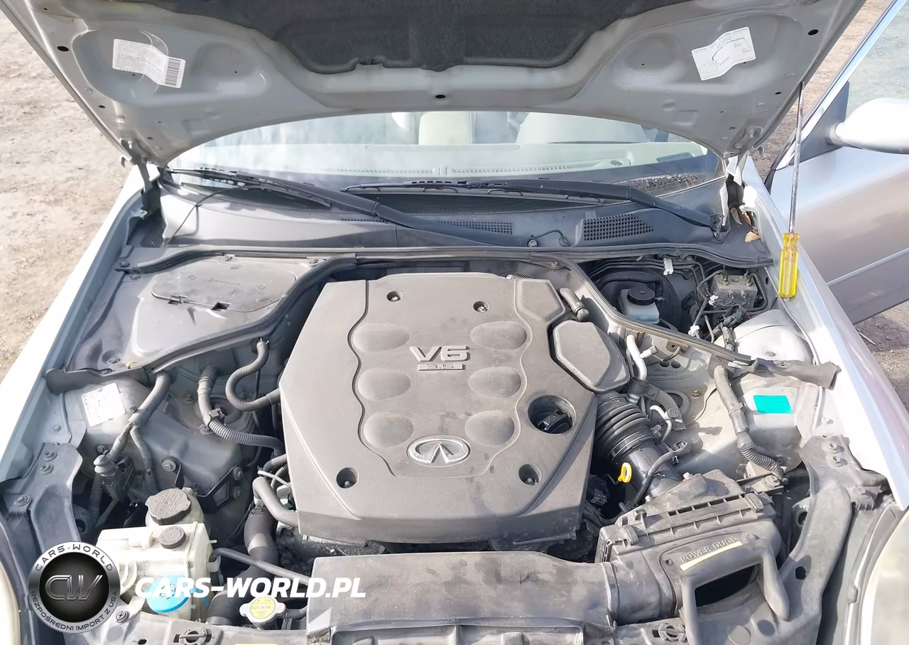 2004 Infiniti G35 VIN:JNKCV51E64M619057 - 10