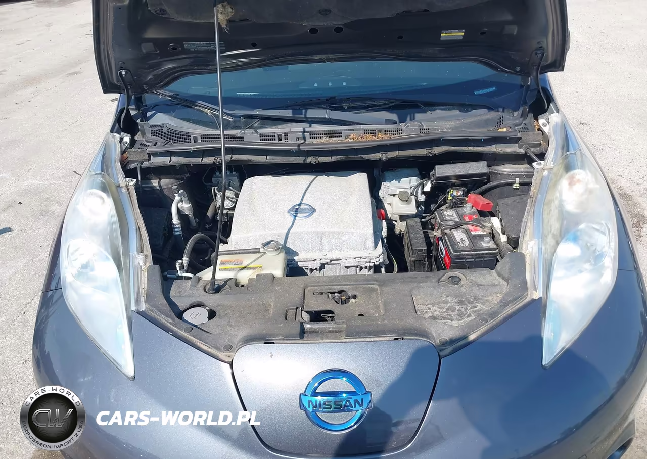 2013 Nissan Leaf S VIN:1N4AZ0CP1DC410884 - 10
