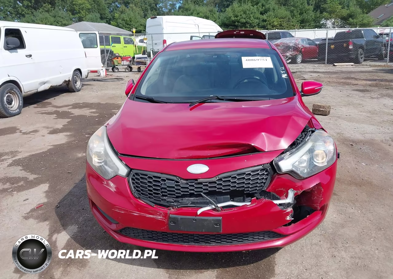 2014 Kia Forte Lx VIN:KNAFX4A61E5134118 - 12