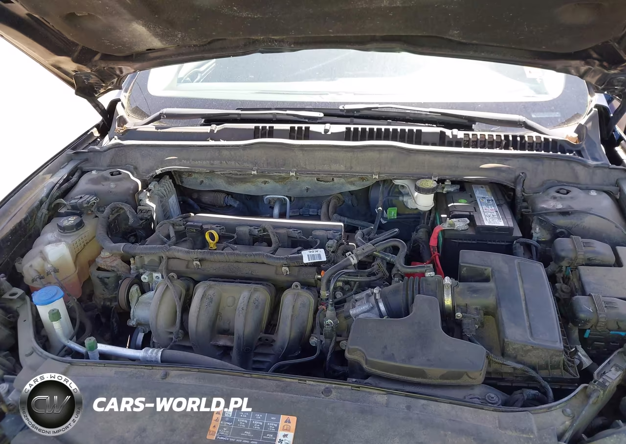 2003 Honda Accord 3.0 Ex VIN:1HGCM66503A029909 - 10