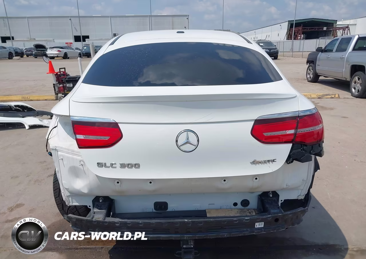 2019 Mercedes-Benz Glc 300 Coupe 4Matic VIN:WDC0J4KB4KF601988 - 17