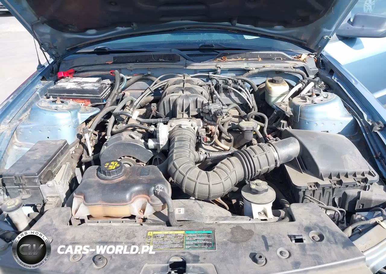 2005 Ford Mustang V6 Deluxe-V6 Premium VIN:1ZVFT80N455138465 - 10
