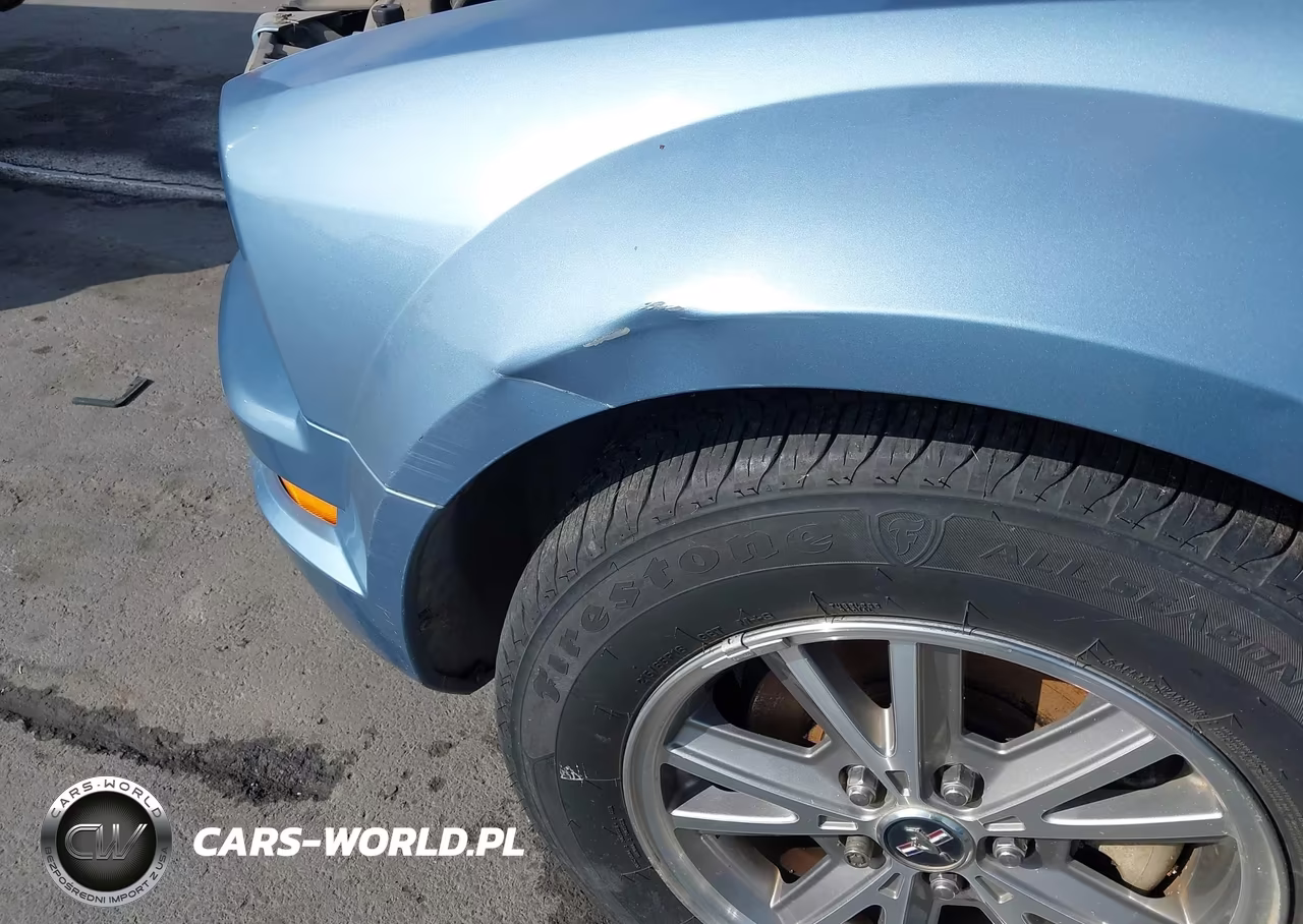 2005 Ford Mustang V6 Deluxe-V6 Premium VIN:1ZVFT80N455138465 - 12