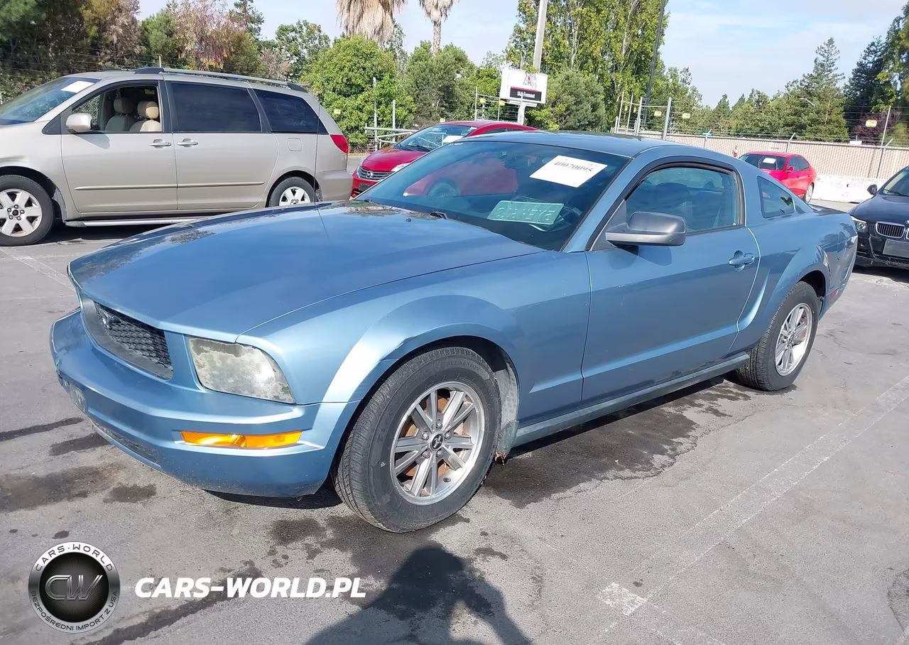 2005 Ford Mustang V6 Deluxe-V6 Premium VIN:1ZVFT80N455138465 - 2